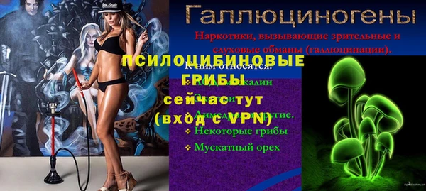 прущие крисы Арсеньев