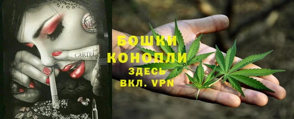 прущие крисы Арсеньев