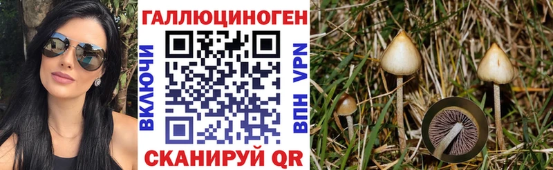 Галлюциногенные грибы GOLDEN TEACHER  Купить  Каневская 